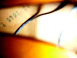 PICT5596.JPG