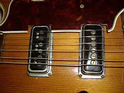 IMGP6478.jpg