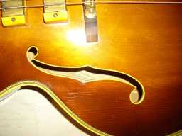 IMGP1213.jpg