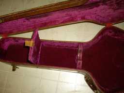 IMGP1262.jpg