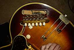 IMGP4022.jpg