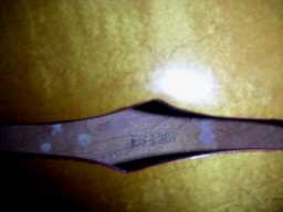 PICT5848.JPG