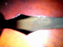 PICT8803.jpg