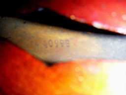 PICT8812.jpg