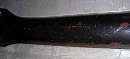 PICT8823.jpg