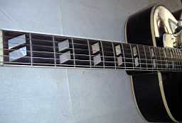 PICT8168.jpg