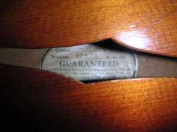 PICT8174.jpg