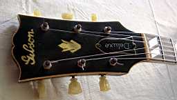 PICT8204.jpg