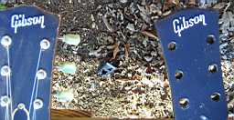 PICT0070_061116.JPG