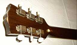 IMGP1293.jpg
