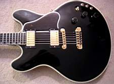 PICT0626_GibsonESArtist1981.jpg