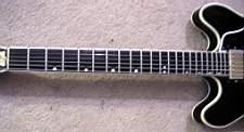 PICT0632_GibsonESArtist1981.jpg