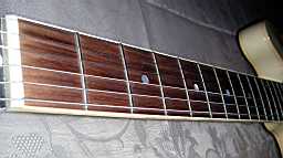 PICT8615.jpg