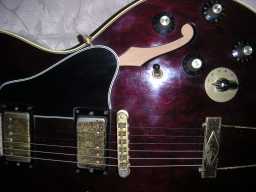 PICT8766.JPG