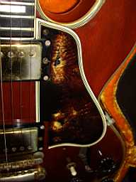IMGP4281.jpg