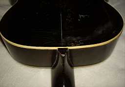 IMGP6450.jpg