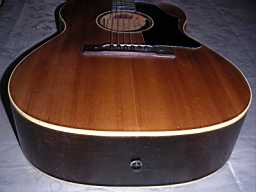 PICT9509.jpg
