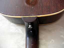 PICT9517.jpg