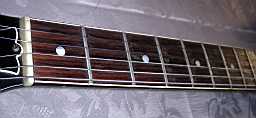 PICT8401.jpg