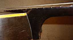 IMGP4191.JPG