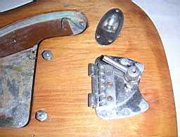 PICT6557.JPG