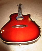 hohnerHAG-22acoustic-electric2.jpg
