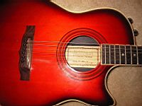 hohnerHAG-22acoustic-electric6.jpg