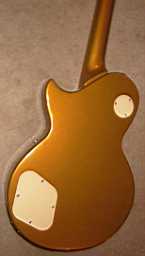 TN_Jay Turser Les Paul Gold Bullion body rear.JPG