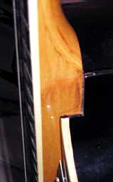 AUT_2514.JPG