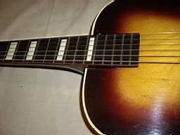 IMGP2078.jpg