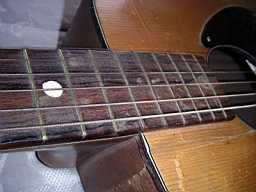 PICT9377.jpg