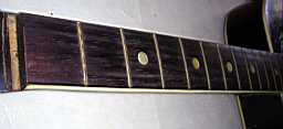 PICT9984.jpg