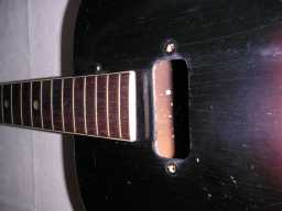 PICT9985.jpg