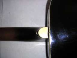 PICT9990.jpg
