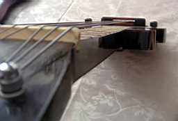 PICT8992.jpg