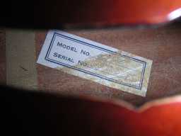 PICT6714.JPG