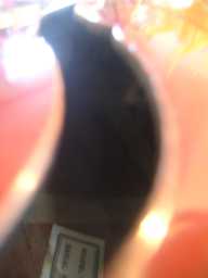 PICT6731.JPG