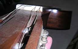 PICT6449.JPG