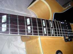 PICT8309.JPG