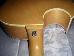 PICT8316.JPG