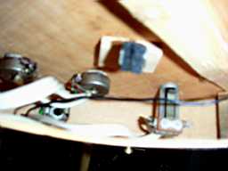 PICT8341.JPG