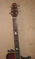 hohnerHAG-22acoustic-electric4.jpg